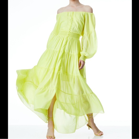 Alice + Olivia Dresses & Skirts - NEW ALICE + OLIVIA Kiara Off-The-Shoulder Cotton and Silk-Blend Voile Maxi Dress